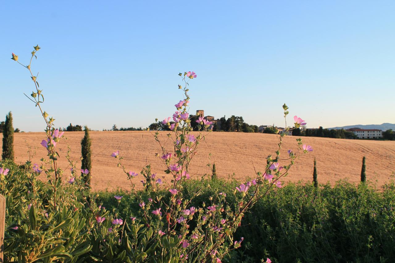 Il Poggio Della Pieve Apartments Santa Luce Esterno foto