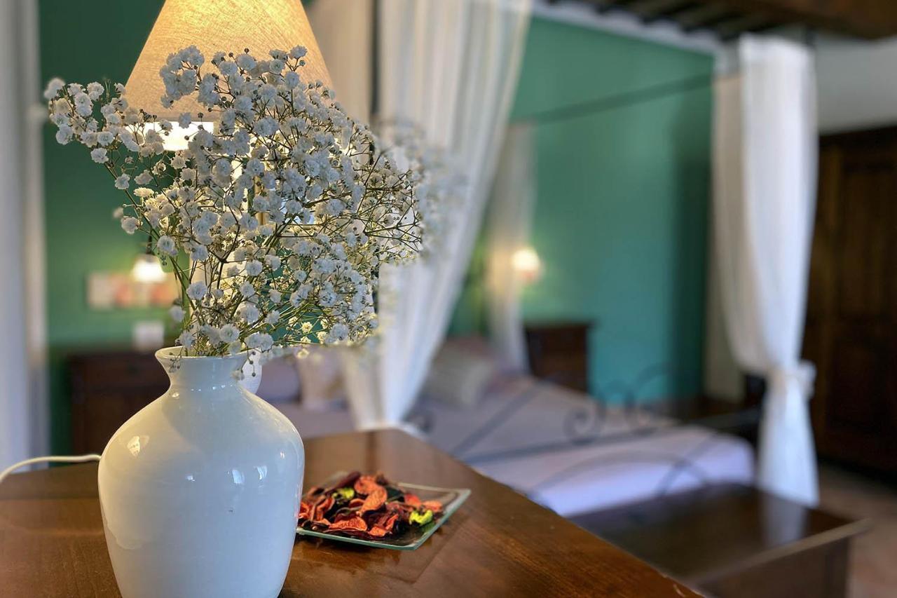 Il Poggio Della Pieve Apartments Santa Luce Esterno foto
